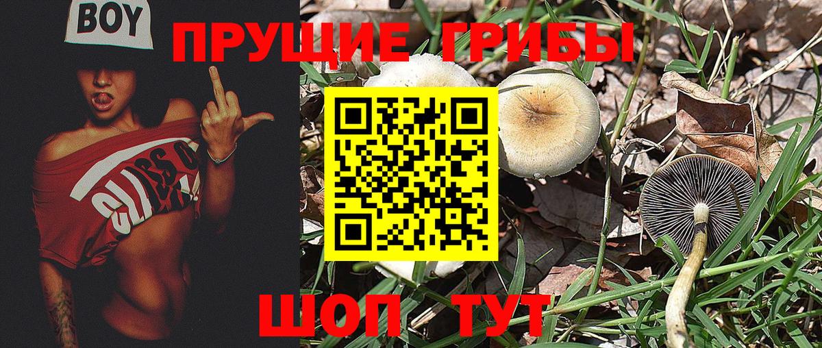 Галлюциногенные грибы Cubensis  Вход с VPN  Дзержинский 